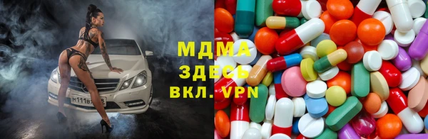 СК Новодвинск