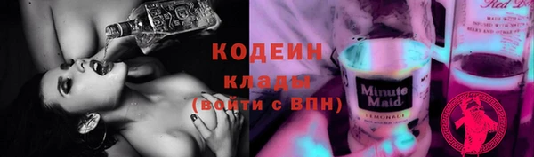 стафф Няндома