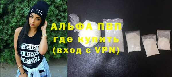 СК Новодвинск