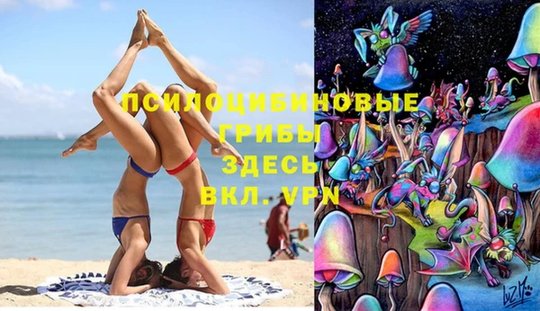 стафф Няндома